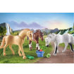 Picture of Playmobil Horses of Waterfall Τρία άλογα με αξεσουάρ 71356