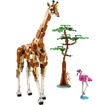 Picture of Lego Creator 3-in-1 Wild Safari Animals 31150