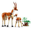 Picture of Lego Creator 3-in-1 Wild Safari Animals 31150