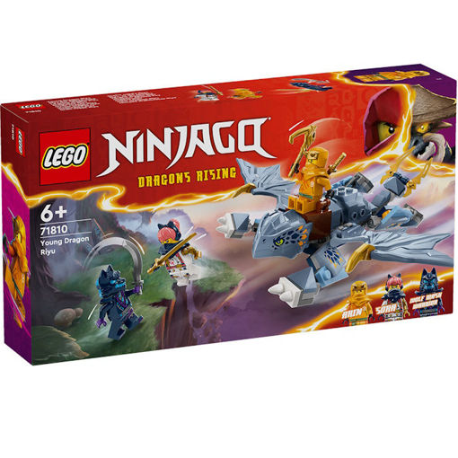 Picture of Lego Ninjago Young Dragon Riyu 71810